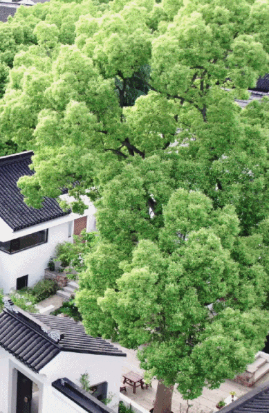 95ae2ca99ce072a3da15.gif