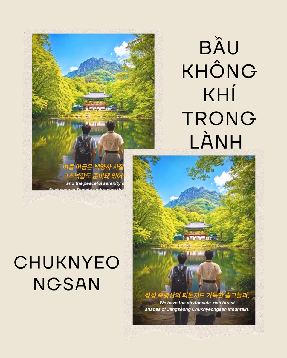 95e8c87c5e23348ad680.jpg