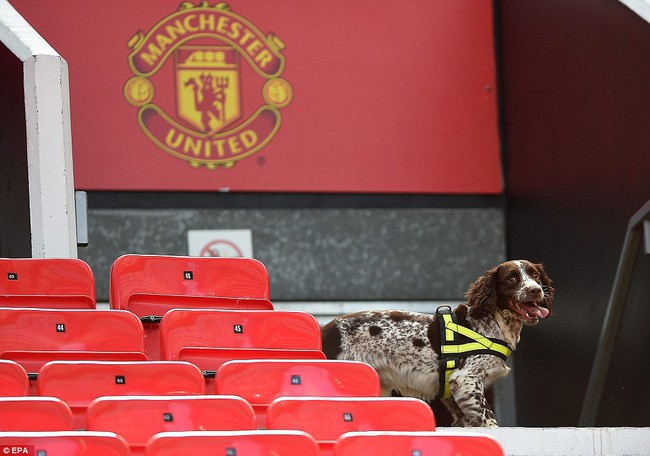 95f2d45e7b6ca3eea836.jpg