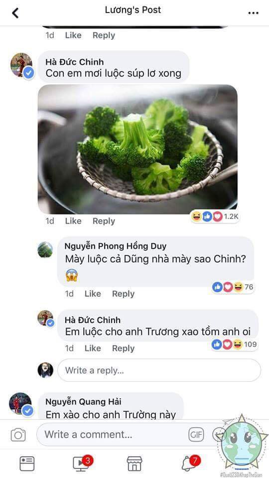 95fb7ece9e43a27412ef.jpg