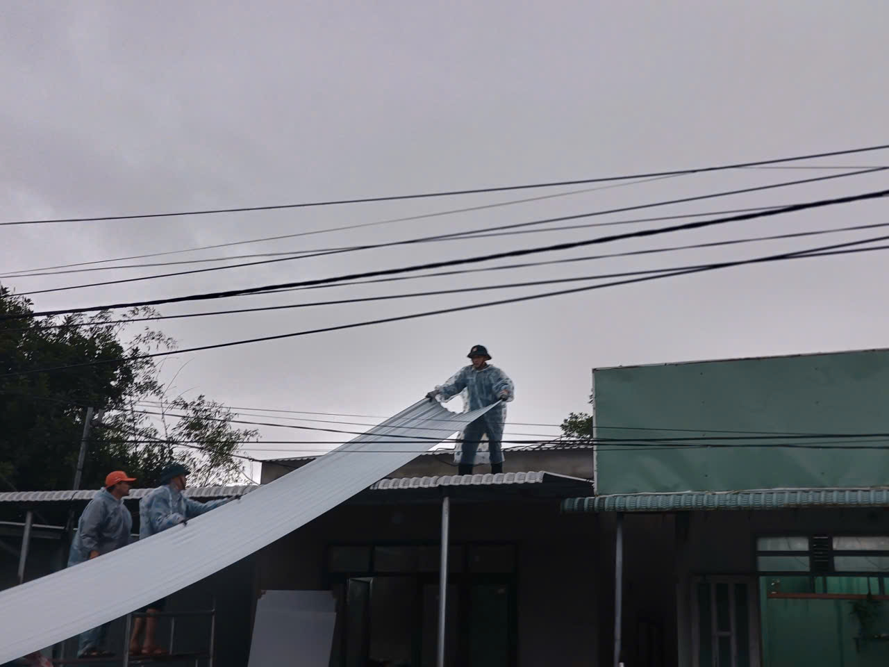 9616d8ffcaccd895819e.jpg