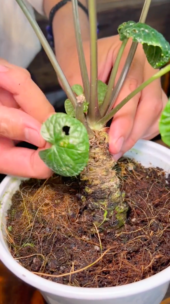 961f419c622938b05f3a.png
