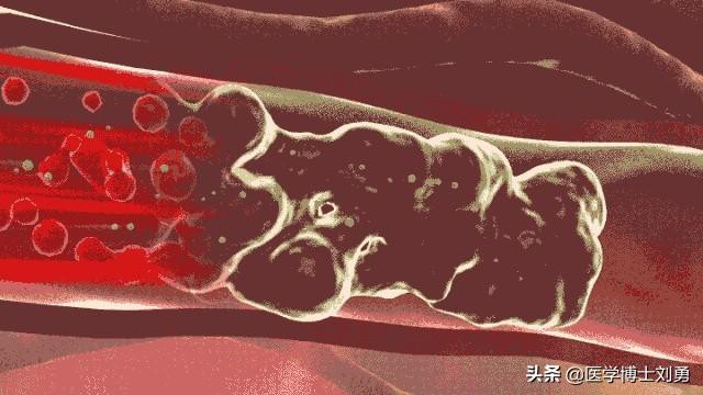 9691033ec66176f38456.jpg