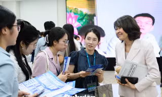 96c5fc041040afa9d49f.jpg