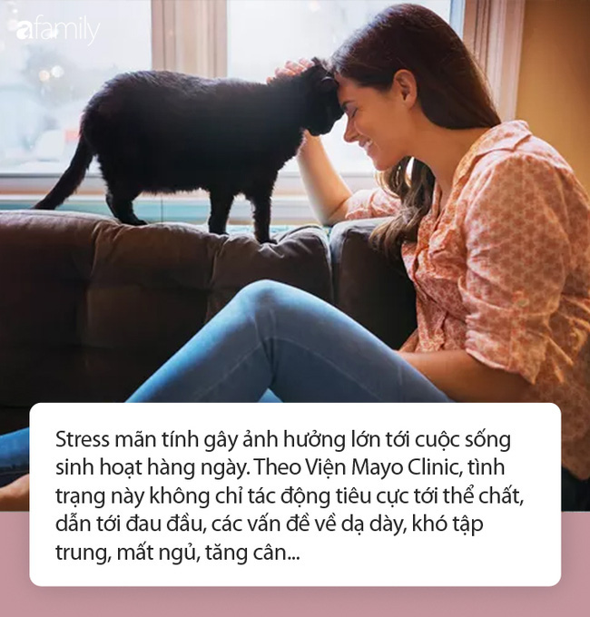 9731c740946b4e70db30.jpg
