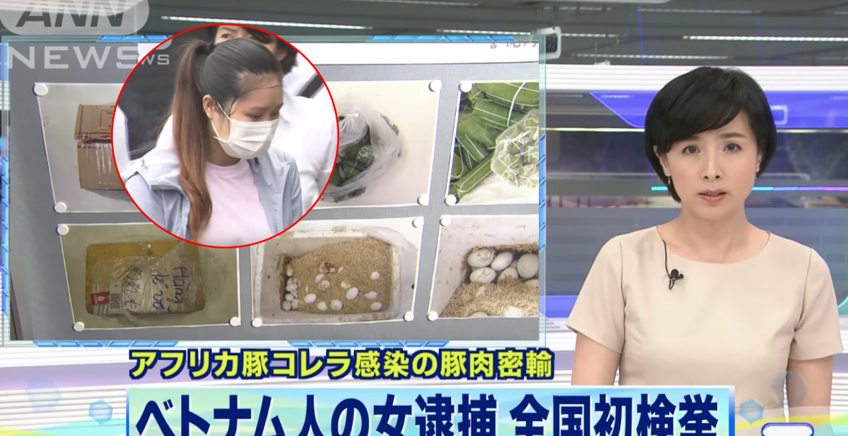 9770f895b54155a3c6ae.png