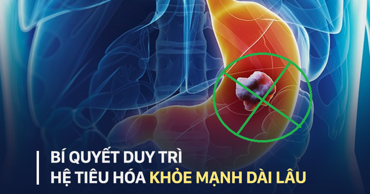 977bc3d37c052bda6794.png