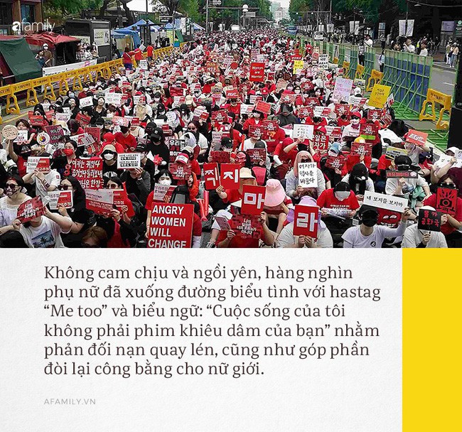 977d228a5c21cfc334e3.jpg