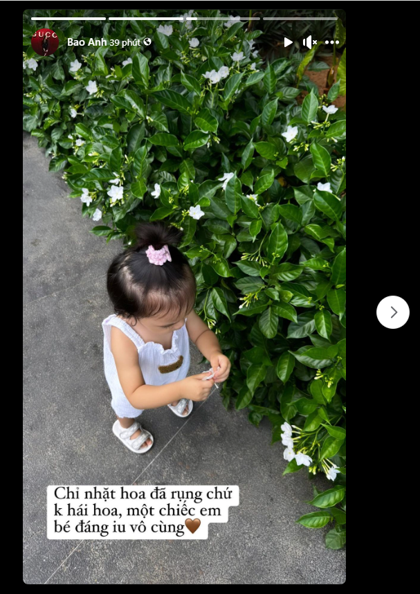 978db3407e75355893c9.png
