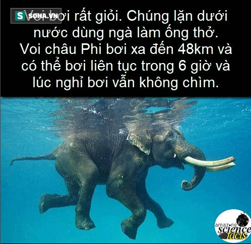 979fdad9d9cff70cc0f8.png