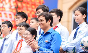 97d917890f3cc2530cb2.jpg