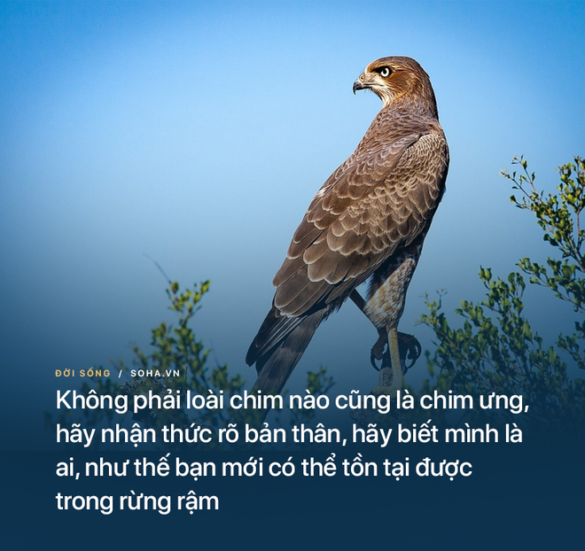 97fd74d3bb620af12e1d.png