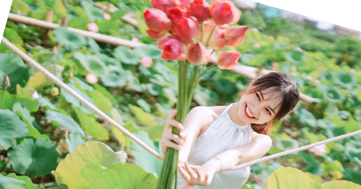 9803155d5b5383e1a583.webp