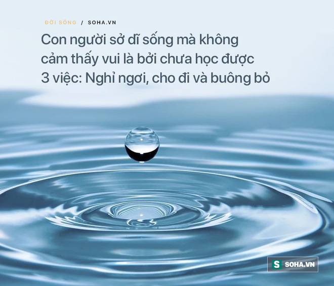 986989a443e4bcf80db9.png