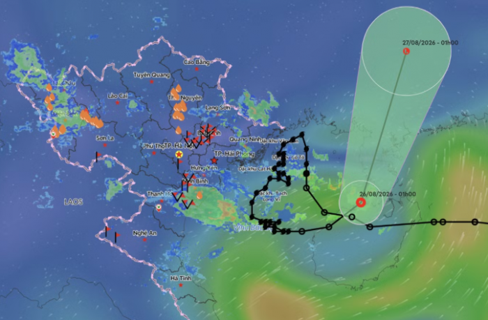 98a17085be1c072e7f6b.png