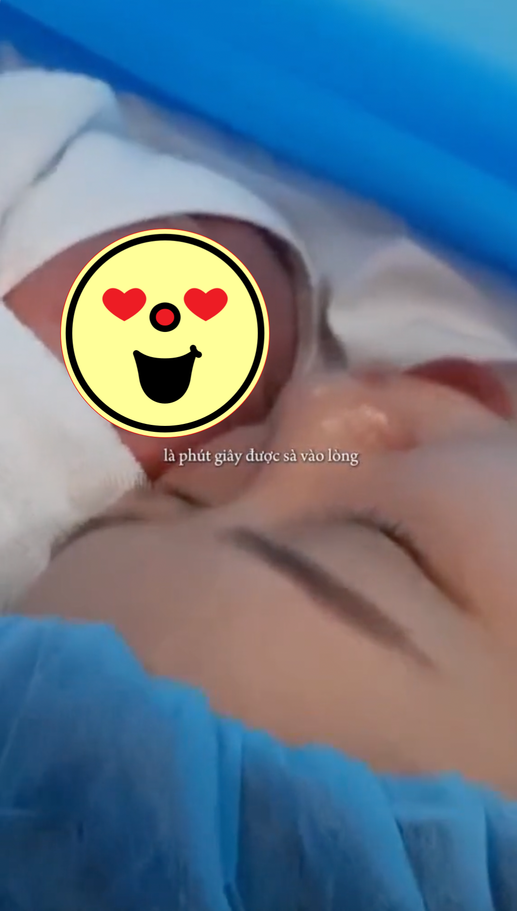 98a52a7d5184f6b537de.png