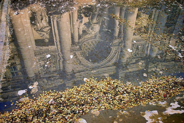 98e512f723a25105cb9a.jpg