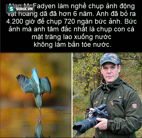 990fab0998d597e2f58f.png