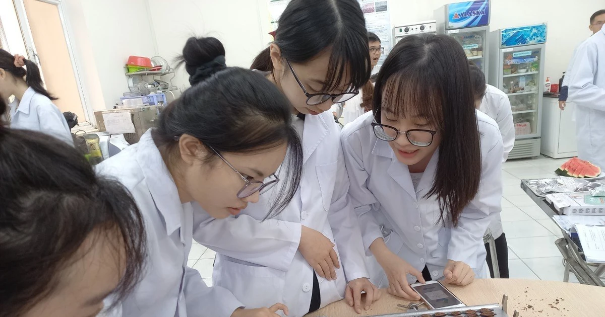 14 nhà khoa học trẻ đã trúng tuyển chương trình VNU350 của ĐHQG TP. HCM - Xịn xò quá trời!