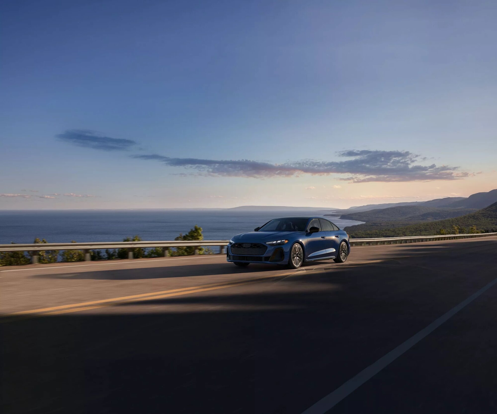 992fca6ed31fbb5469a1.jpg