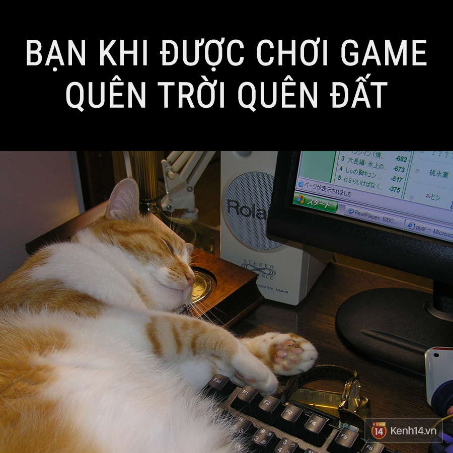 993bbca6ac1d9818c1a1.png