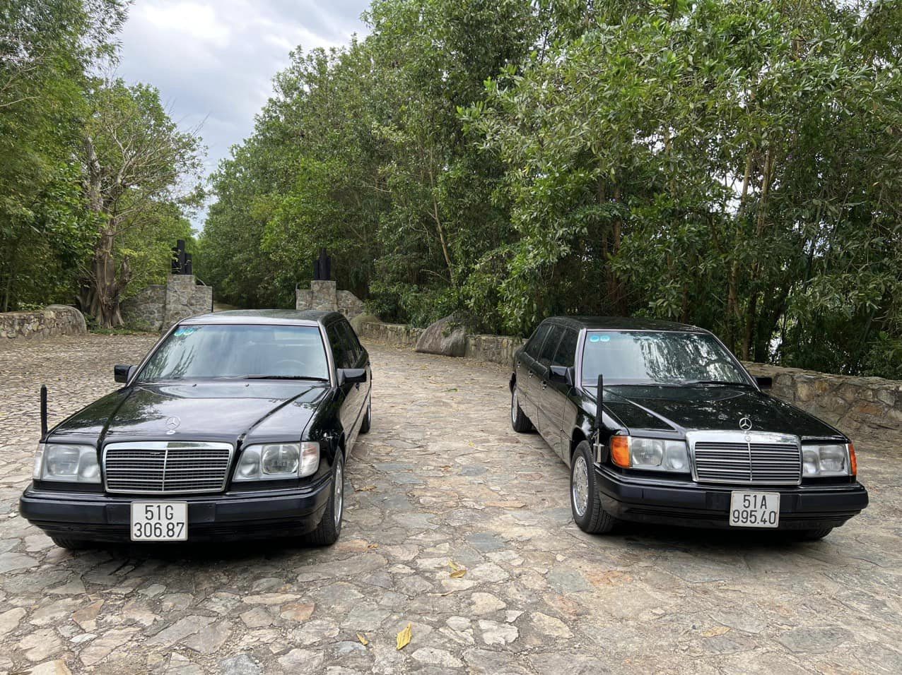 99516d3a26018d94ce68.jpg