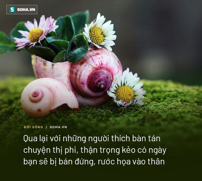 9967a4e95397067fdff0.png