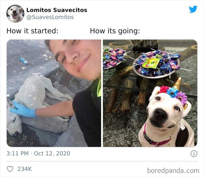 99743001821bc5aa39ce.jpg