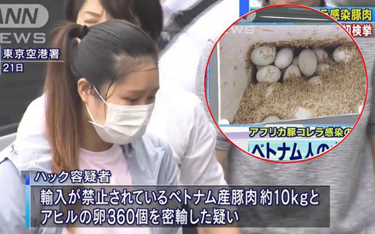 997c9589efd6a320fffb.jpg