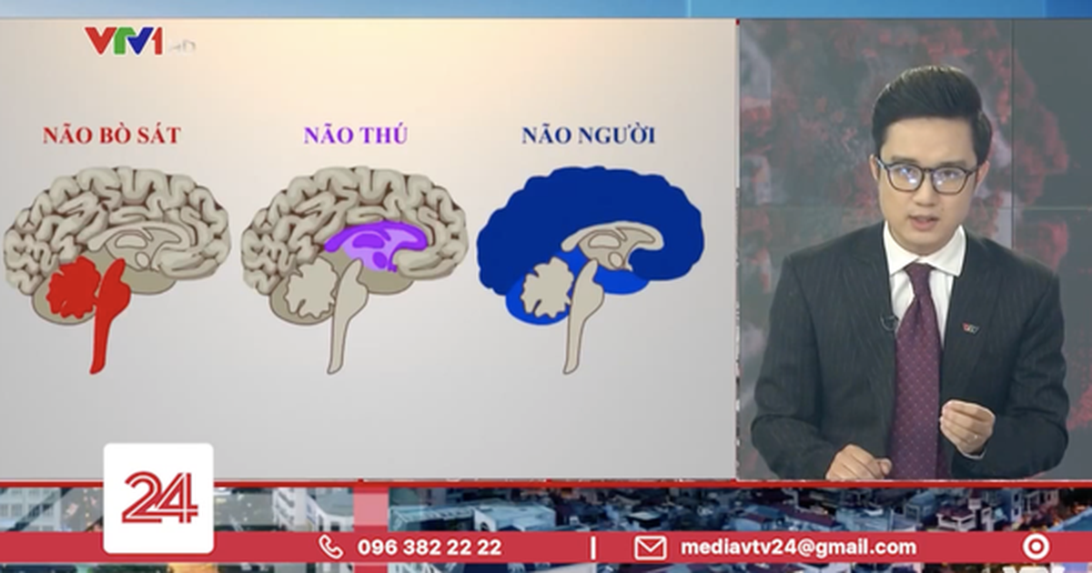 99883812567709c03bcc.png