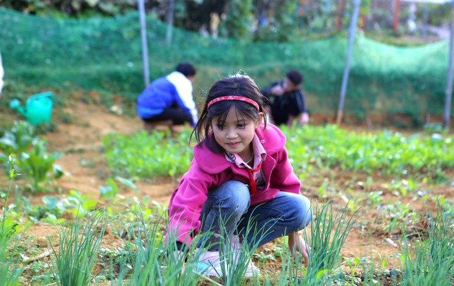 999d93f2870e5cd4be88.jpg