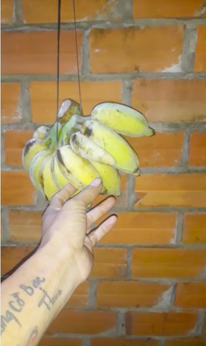 99e64c7da99e96a02388.png
