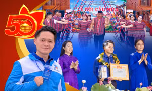 99e9d61a1596b8310531.jpg