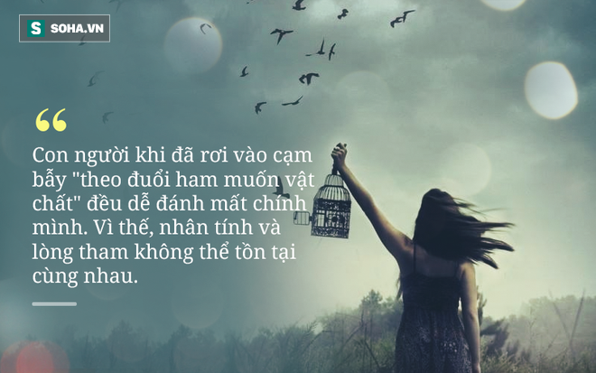 99fe9165f0572d97216b.png