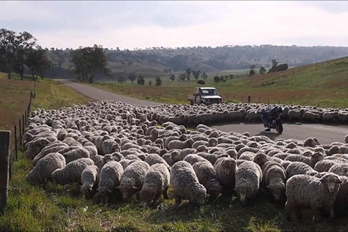 9a001649260db74e9f48.jpg