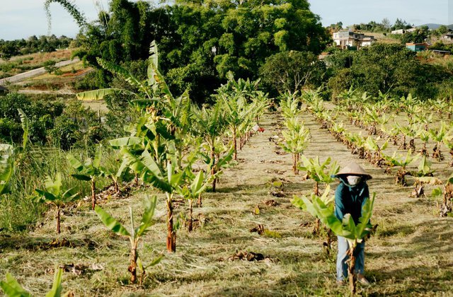 9a0b329f0a770c26b22c.jpg