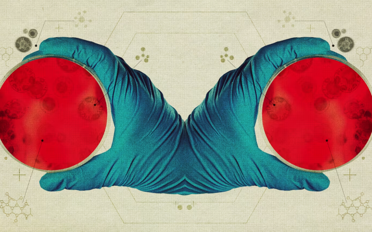 9a2b6cc68a33bdd0959b.png
