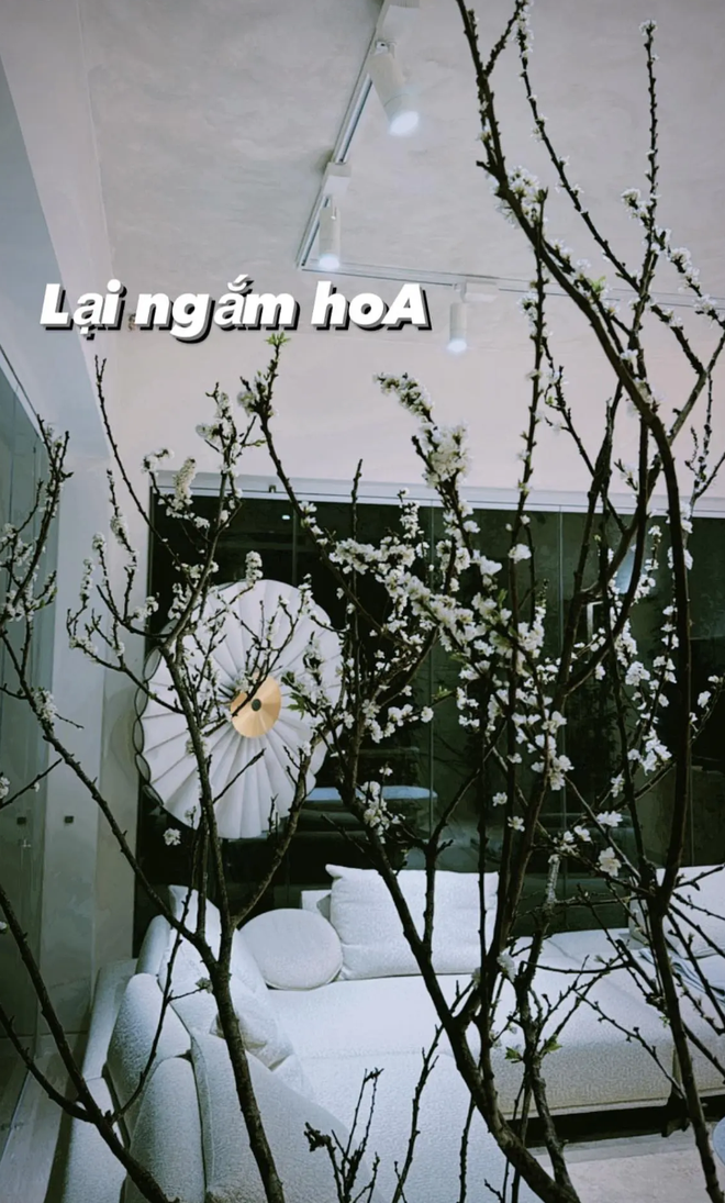 9a53eb62832a50ef00ae.png