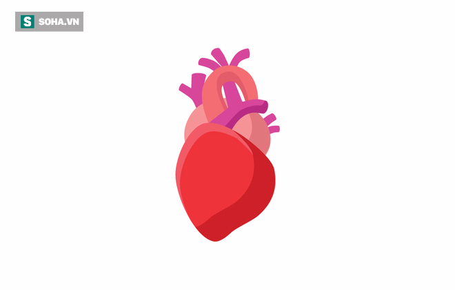 9a6f36b0bc13480060f2.png