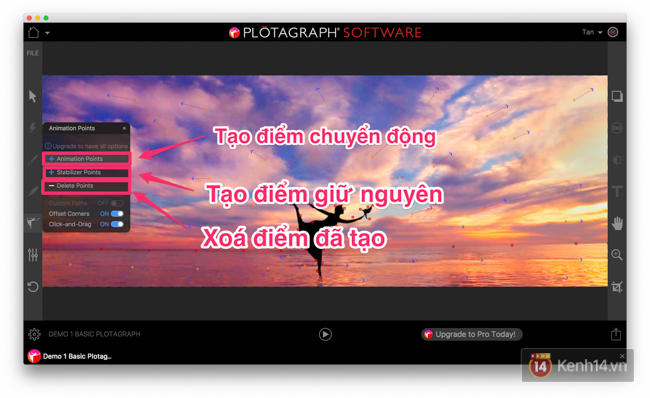 9a774d3902a4d86209a2.jpg