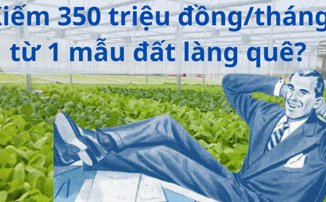 9aa7eca0f9a361c33595.png