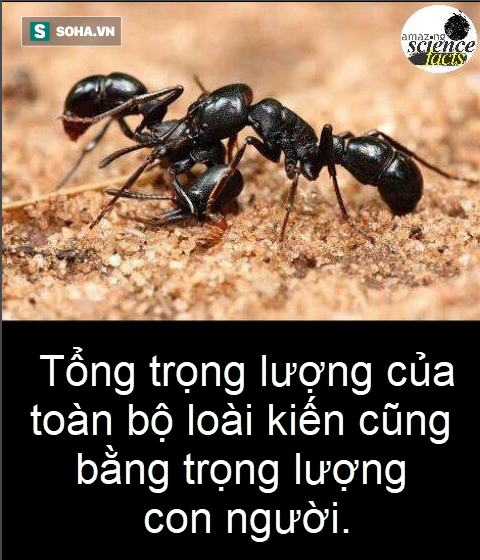 9ab7b6b887c5067d9cf3.png