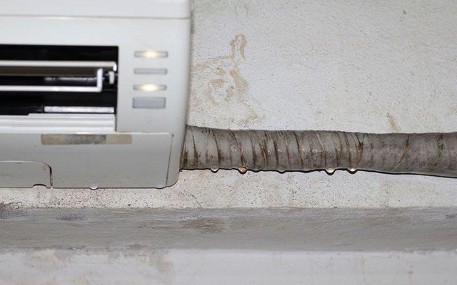 9ac642cc5d96c36998b9.jpg