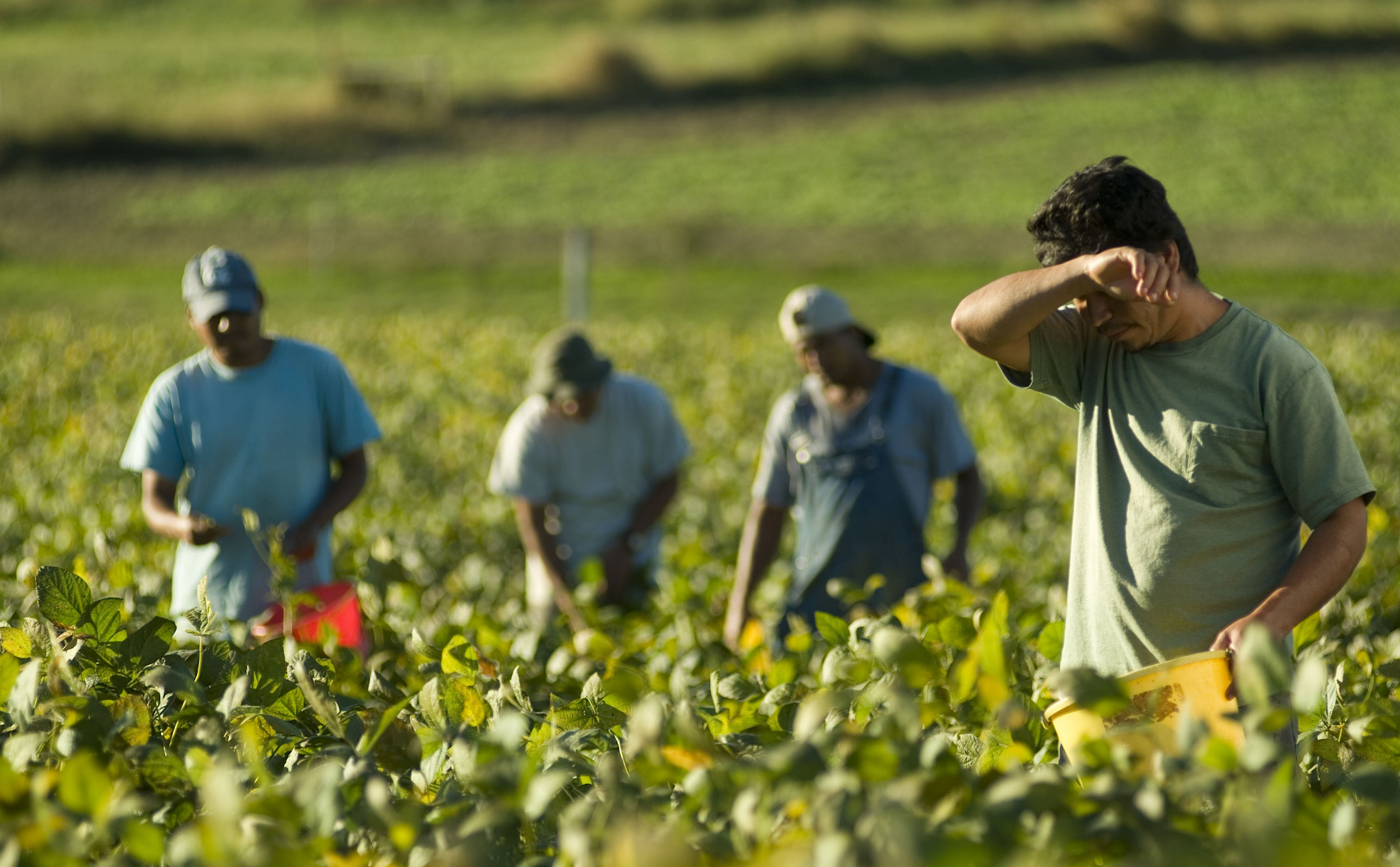 9ad467610c14d45911a7.jpg