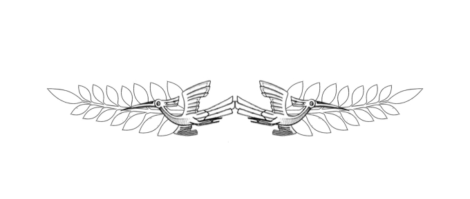 9b4517f877ed2c217f17.jpg