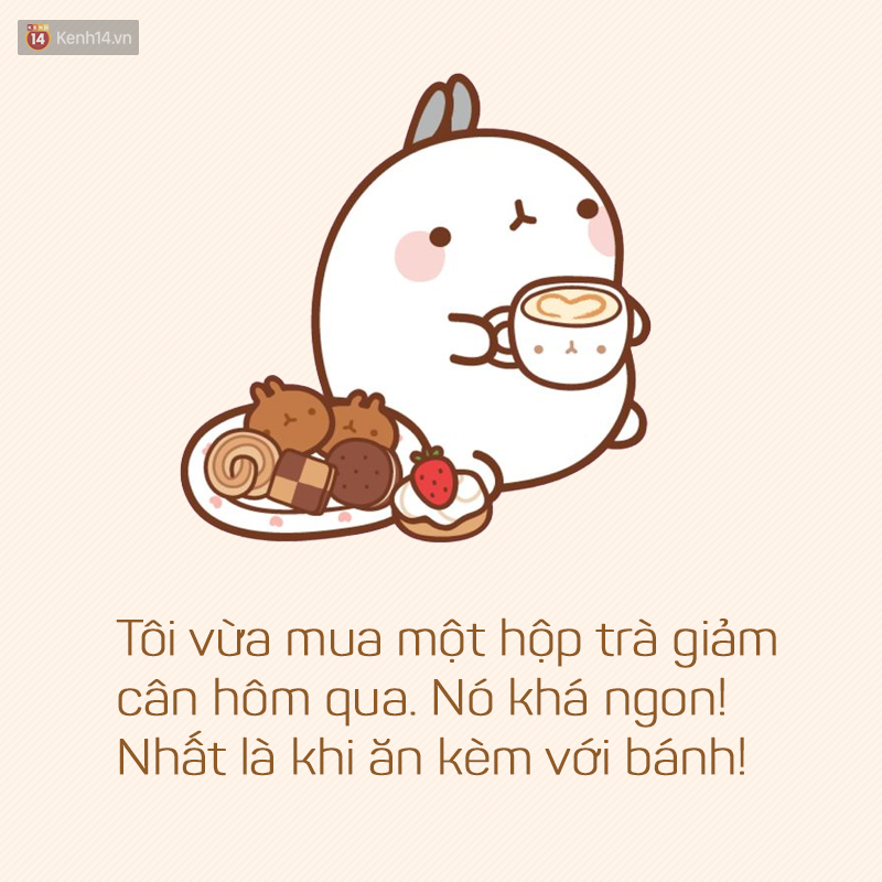 9b46a23beb51f6b77e45.jpg