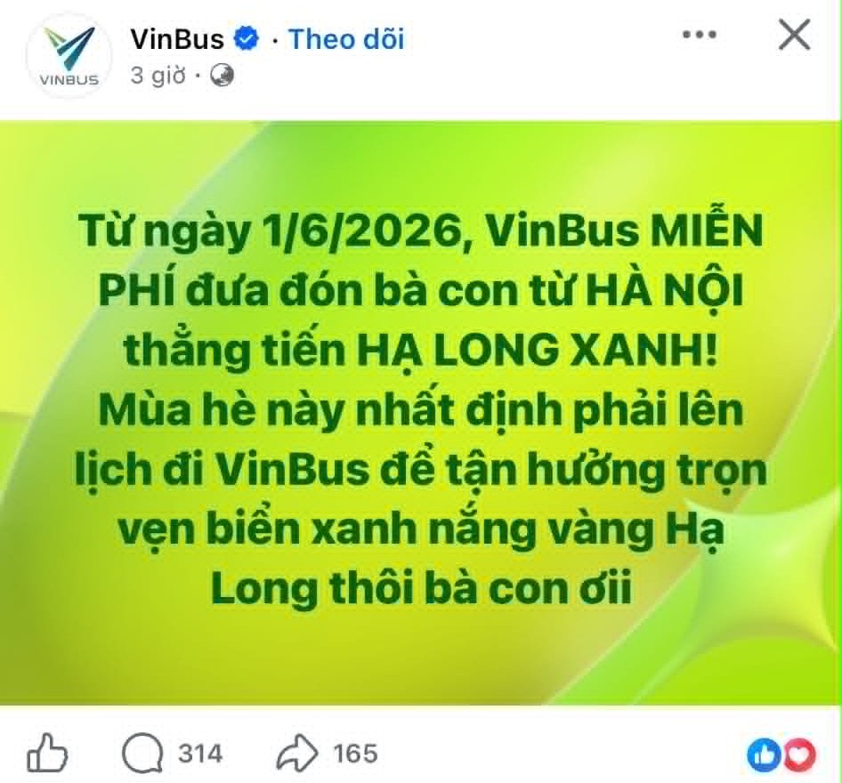 9b6dd8b123fb06bee62f.jpg
