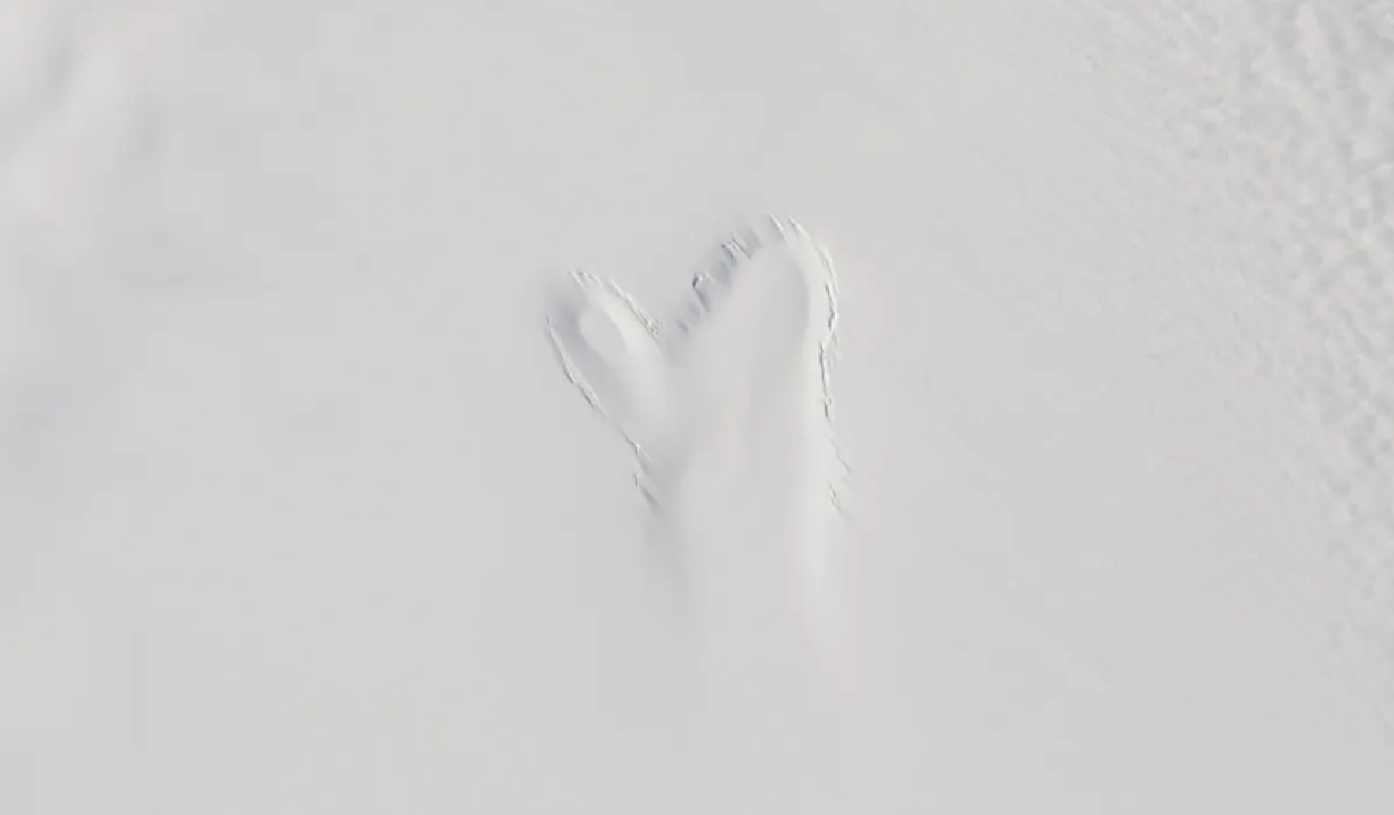 9b7347c3d360b515045c.jpg