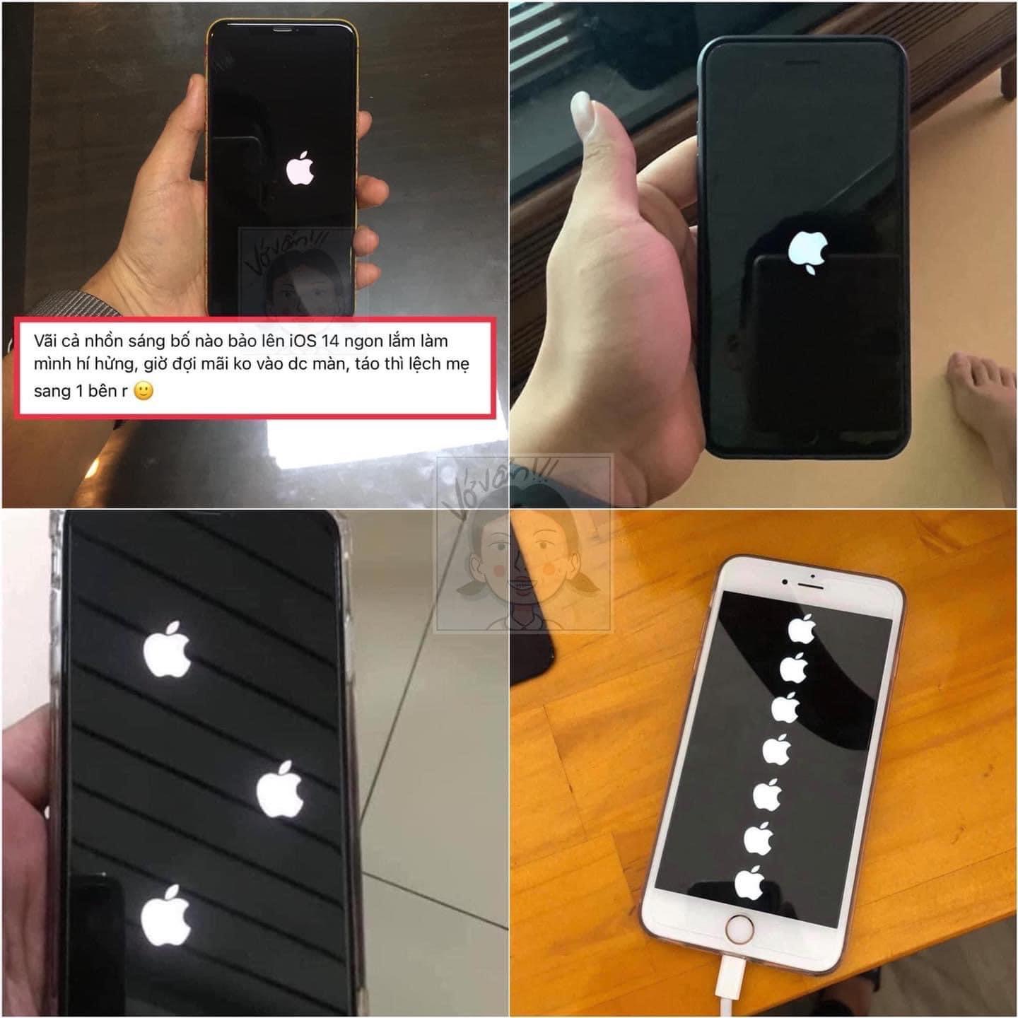 9b82b94b173d4503c57b.jpg