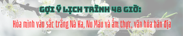 9b9923d713a39f87b19a.png